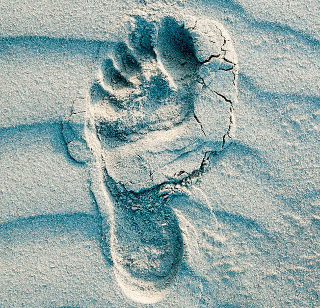Fußabdruck im Sand
